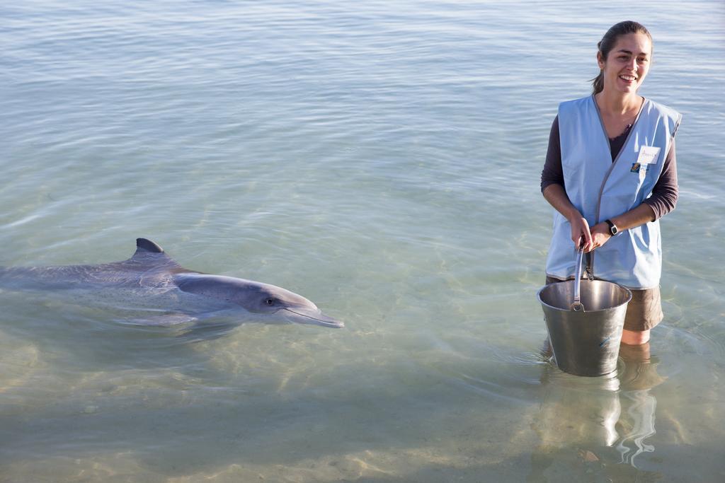Rac Monkey Mia Dolphin Resort Exterior foto